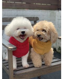 The Pooch Sweater