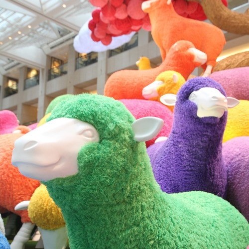 Year of the ram sheep
